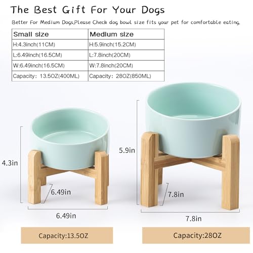 28 OZ Elevated (Blue Sky / 3.6 Cups - Medium)