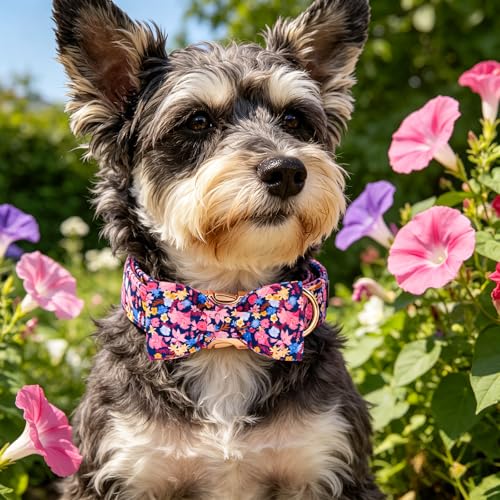 Dog Collar Floral Pattern Pet Collars with Bow Girl (Morning Glory / X-Small (Pack of 1))