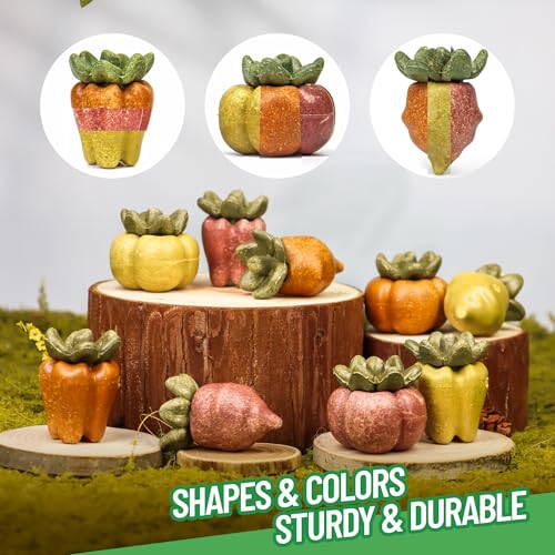 Guinea Pig Chew Toys (3PCS-Fruit & Vegetable)