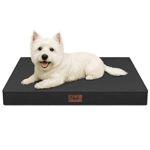 Waterproof Orthopedic Dog Crate Bed for Small Dogs & Cats (Black / 23.0"L x 17.0"W x 2.5"Th)