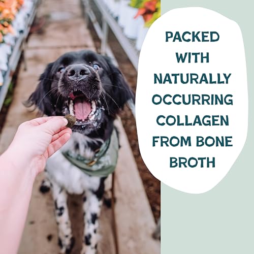Bone Broth Dog Training Treats