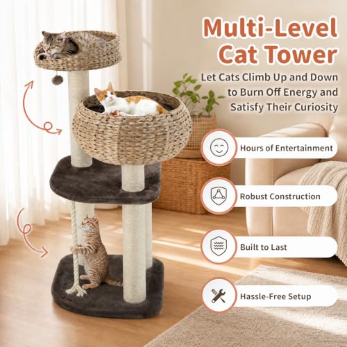 41 Inch Modern Cat Tree for Indoor Cats (41 inches / Coffee)