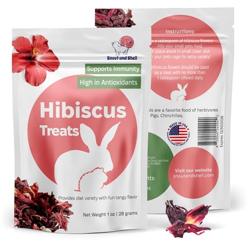 Hibiscus Treats