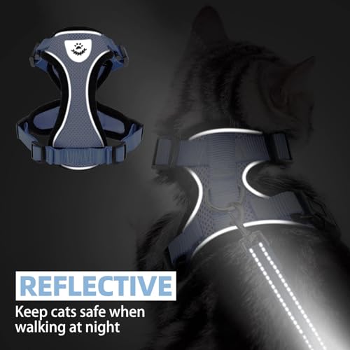 Cat Harness and Leash Set Escape Proof Reflective Cat Walking Harness Adjustable Soft Breathable Mesh Vest for Small Pets (M (NECK 11"-13.7", CHEST 16"-20") / Sky Blue)