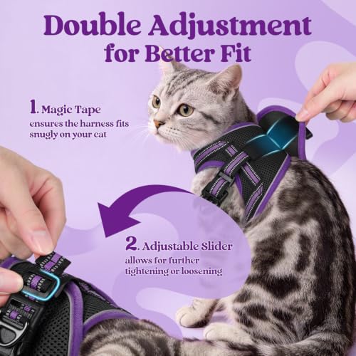 Cat Harness and Leash Set (XL / Black & Purple)