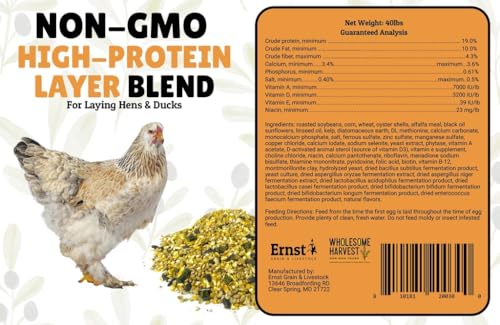 Non-GMO High-Protein Layer Blend 40 lb (40 Pound (Pack of 1))