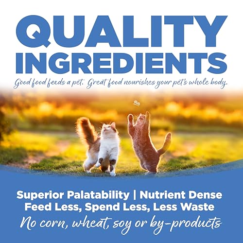 Cat & Kitten Dry Food (12 Pound (Pack of 1))