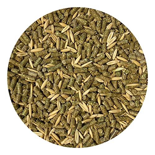 Degu Diet 2.5lb (2.5 Pound (Pack of 1))