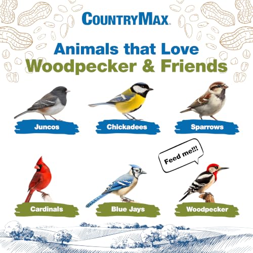 20LB Backyard Seeds Woodpecker No (Woodpecker / 20 Pound (Pack of 1))
