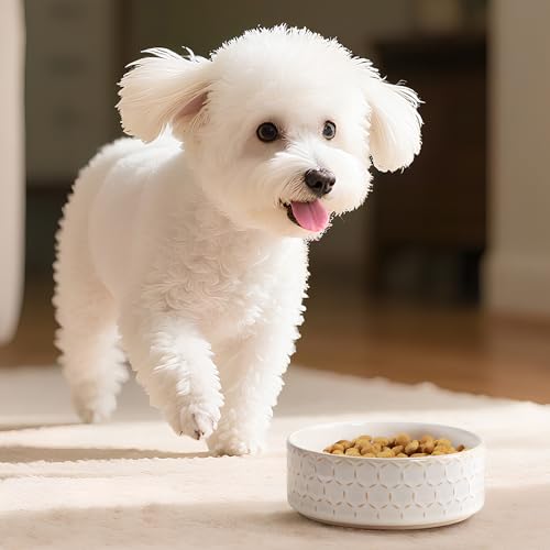 Ceramic Dog Food Bowl (Honeycomb / 2 Cups)