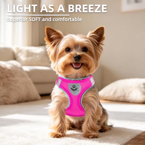 Dog Harness Collar and Leash Set No Pull for Small Medium Sized (Solid DeepPink / XS (CHEST 13"-14.5"))