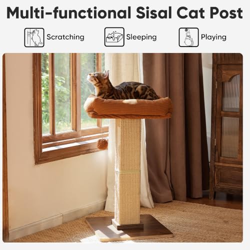 Retro Style Cat Scratching Post with Perch for Indoor Adult Cats (Brown)