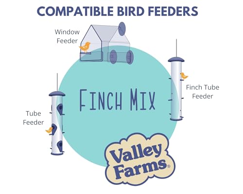 Wild Finch Mix
