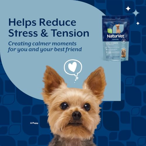 Quiet Moments Calming Senior Wellness Dog Supplement (65 Count (Soft Chews))