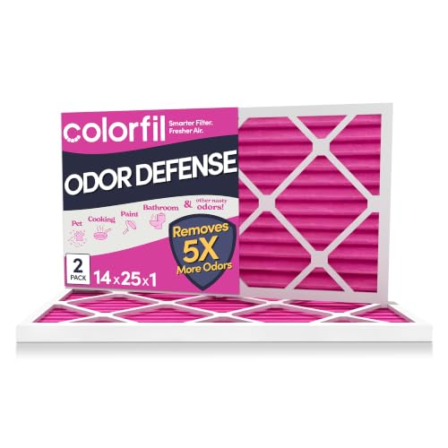 14x25x1 Air Filter (2-Pack / 14" x 25" x 1")