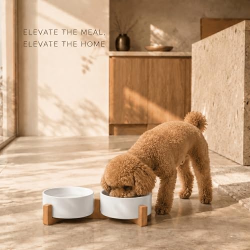 Ceramic Dog and Cat Bowl with Wood Stand Non (1.7 cups / White × 2)