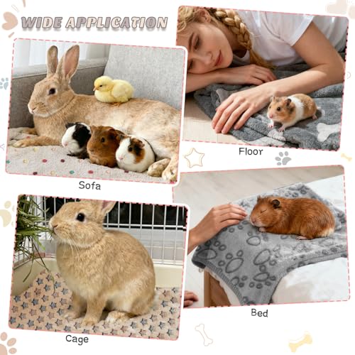 8 Pack Guinea Pigs Fleece Blankets (26x14 Inch /8 Packs / Dark Color)