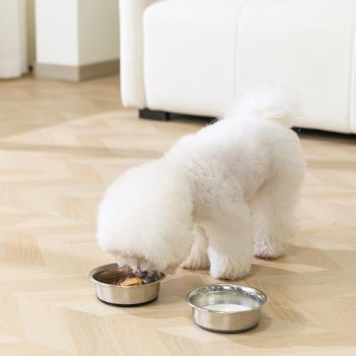 Dog Bowls Food Grade Stainless Steel for Food and Water (Gray / 2 Cup)