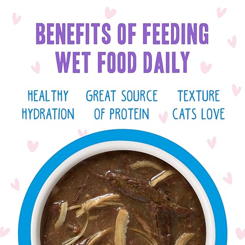 B.F.F. OMG Best Feline Friend Oh My Gravy! Tuna & Chicken Charm Me with Tuna & Chicken in Gravy Cat Food (3 Ounce (Pack of 12))