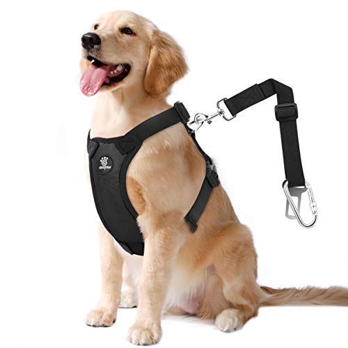 Dog Seat Belt Vest Harness for Car (Black / XL (Chest: 24.4-34.7", Neck: 18.9-29.1"))