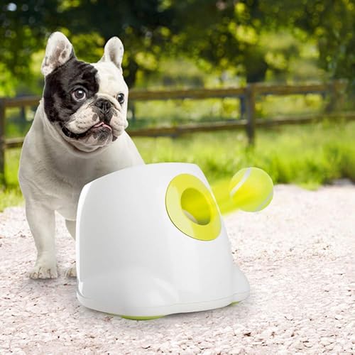 Dog Tennis Balls for Dogs (2 Inch)