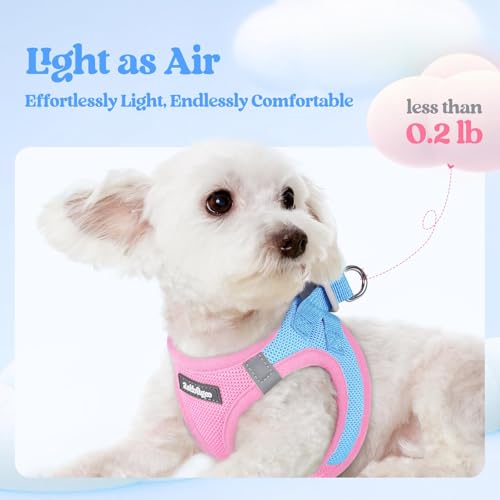 Dog Harness Medium Sized and Leash Set (Blue & Light Pink / Xxl (chest: 21.6 - 23.7"))