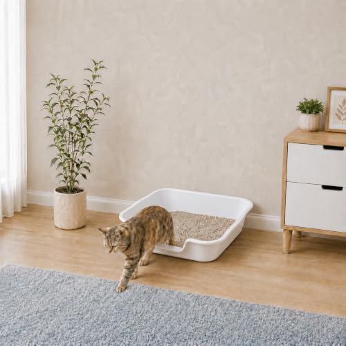 Extra Large Low Entry ABS Cat Litter Box (Large (Pack of 2) / White)