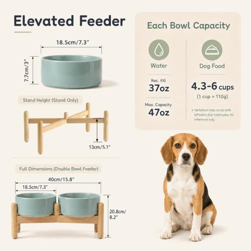 Ceramic Dog Bowls Elevated (Light Green)