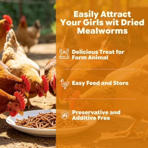 1lbs Dried Mealworms for Chickens Duck High Protein Birds Treat (1 Pound (Pack of 1))