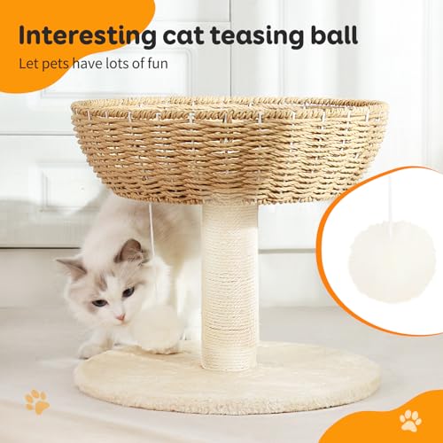 Small Cat Tree with 17.5 (4)