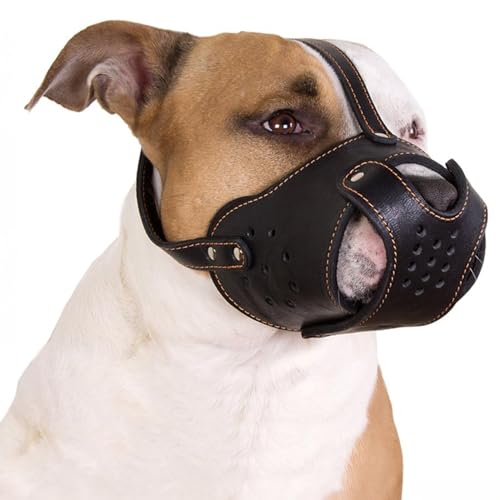 Leather Basket Muzzle for Pitbull & Amstaff (Black Basket)
