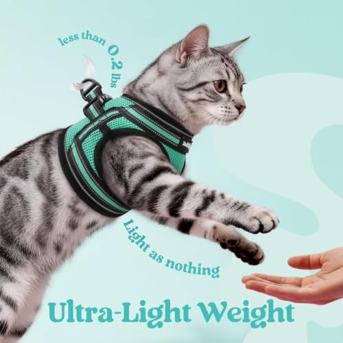 Cat Harness and Leash Set (S / Green)