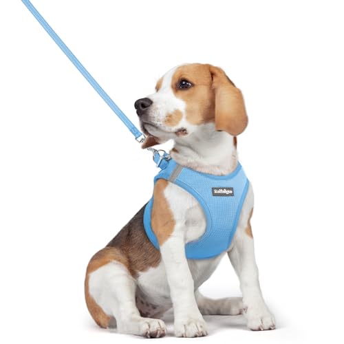 Dog Harness Medium Sized and Leash Set (Blue / L (chest: 18.2 - 20.5"))
