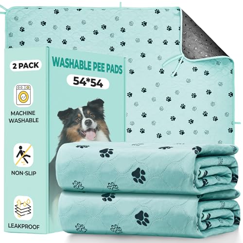 Washable Pee Pads for Dogs (Green / 54*54 Inch (Pack of 2))