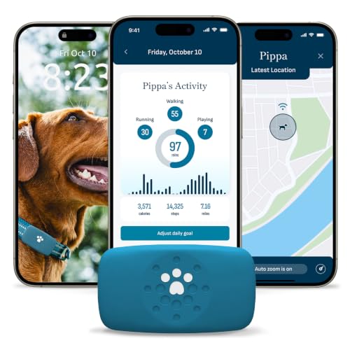 Smart GPS and Activity Dog Tracker Tag (Dark Navy)