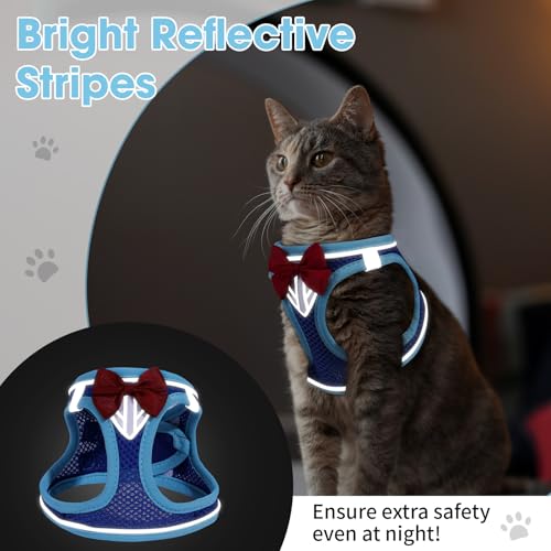 Cat Vest Harness and Leash Set (Blue / S)