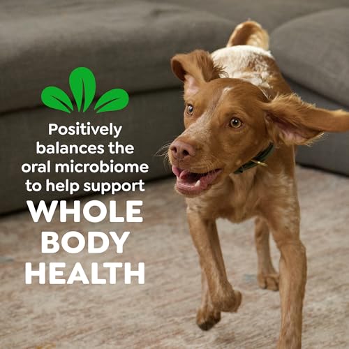 Petite Natural Dental Dog Treats (20 Count (Pack of 1))