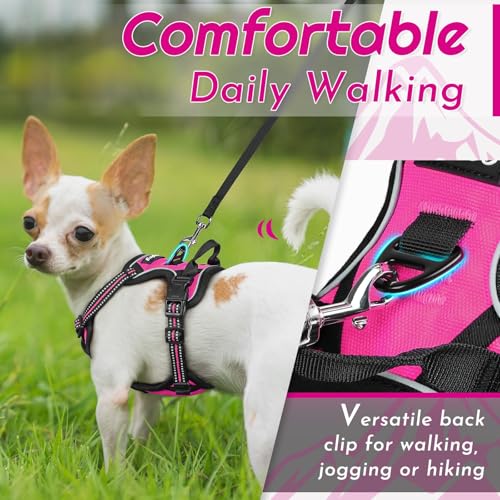 Dog Harness for Small Dogs (X-Small / Rose Red)
