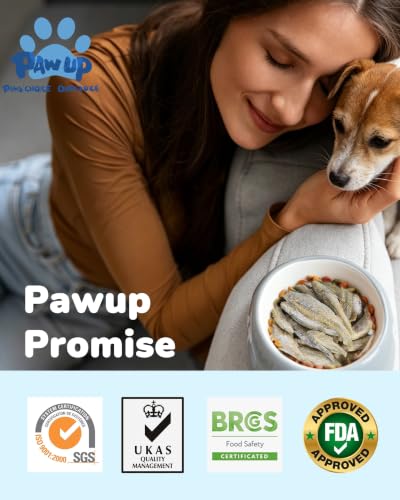 Freeze Dried Minnows Dog Treats