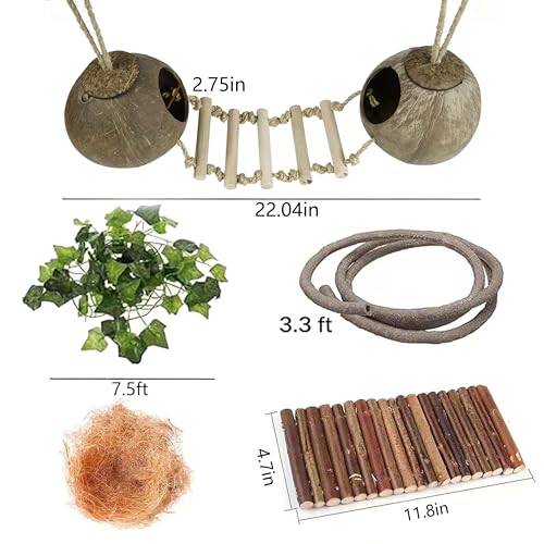 10PCS Crested Gecko Tank Accessories Set (Large with Double Coconut Shell)