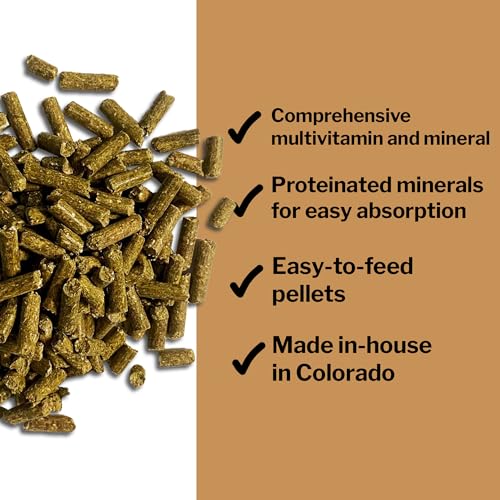 Daily Essentials Ration Balancer Supplement for Horses (6 lb Bag)