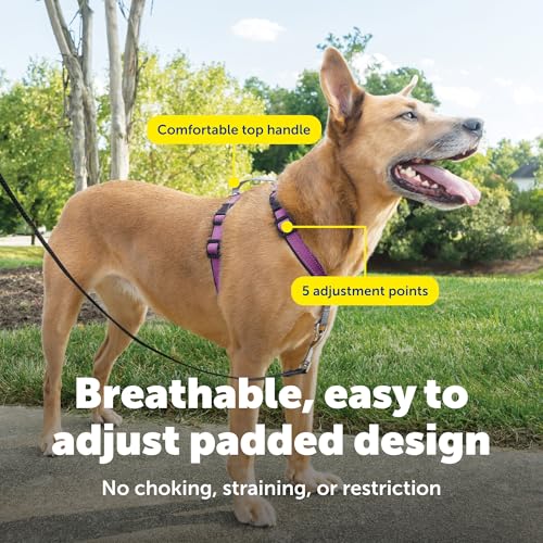 Easy Walk 3 in 1 No Pull Dog Harness (Plum / Medium (Pack of 1))