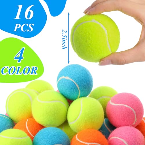 16 Pcs 2.5 Inch Squeaky Tennis Balls Bulk for Dogs Bouncy Floatable Tennis Balls Dog Playing Supplies Training Interactive Fetch Toys Indoor and Outdoor for Small Medium Puppy (Multicolor)