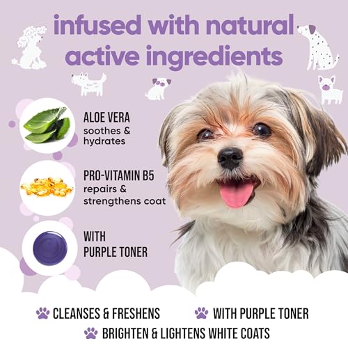White Dog Shampoo by Buddycare (50.72oz)