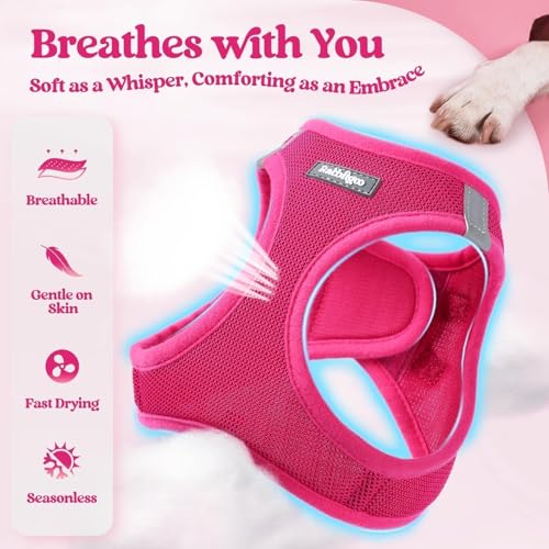 Dog Harness Medium Sized and Leash Set (Rose Red / L (chest: 18.2 - 20.5"))
