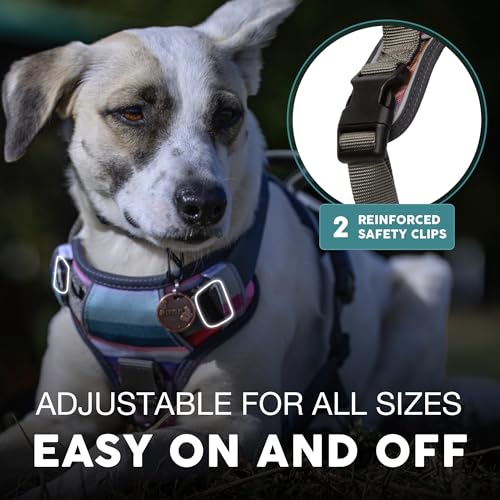 Embark No Pull Dog Harness (S / Baja)