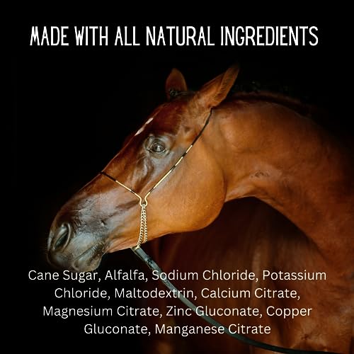 120 Pack All Natural Patented Equine Hydration Treat (120 Pack (120 oz))