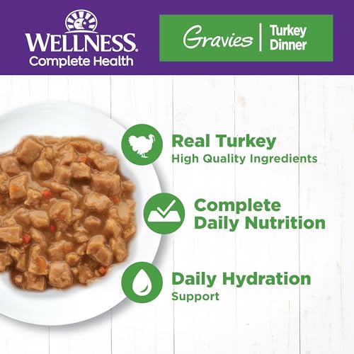 Complete Health Gravies Adult Canned Wet Cat Food (5.5 Ounce (Pack of 12))