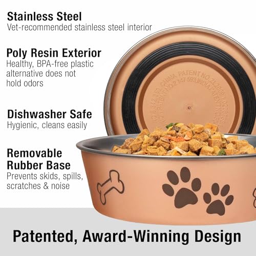 Bella Dog Bowls (Champagne / Medium (20-35lbs))