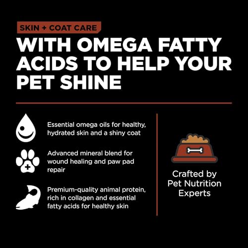 Skin + Coat Care Salmon Large Breed Dry Dog Food with Grains (12 Pound (Pack of 1))